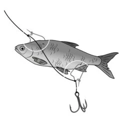 CLIP ASTICOT BLACK CAT 7 CLIP ASTICOT BLACK CAT -PENN PECHE Magasin clip asticot black cat z 2625 262545 3