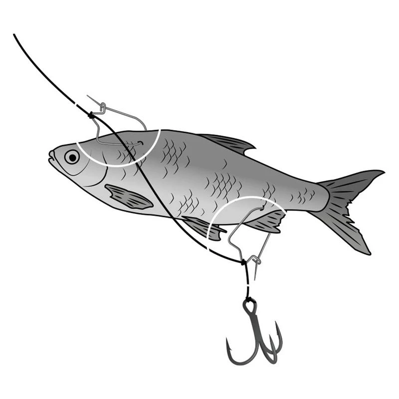 CLIP ASTICOT BLACK CAT 5 CLIP ASTICOT BLACK CAT – Image 3