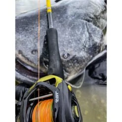 MOULINET CASTING BLACK CAT CAST 301 LH -PENN PECHE Magasin moulinet casting black cat cast 301 lh z 2625 262555 7