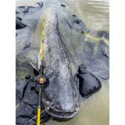 MOULINET CASTING BLACK CAT CAST 301 LH -PENN PECHE Magasin moulinet casting black cat cast 301 lh z 2625 262555 8